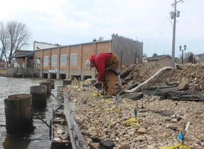 Soil Stabilization near me